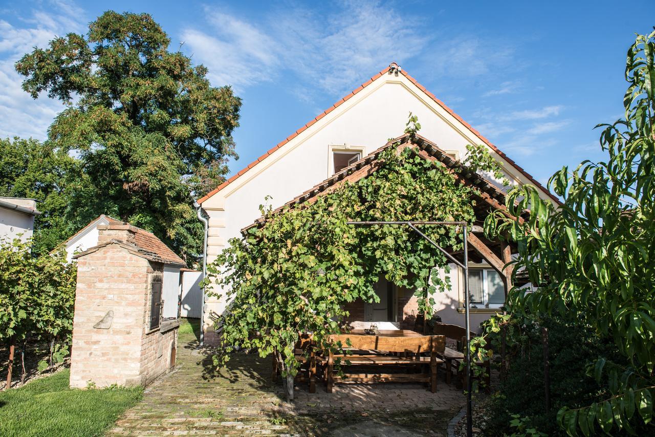 Penzion Monika Hrusovany nad Jevisovkou Exterior foto