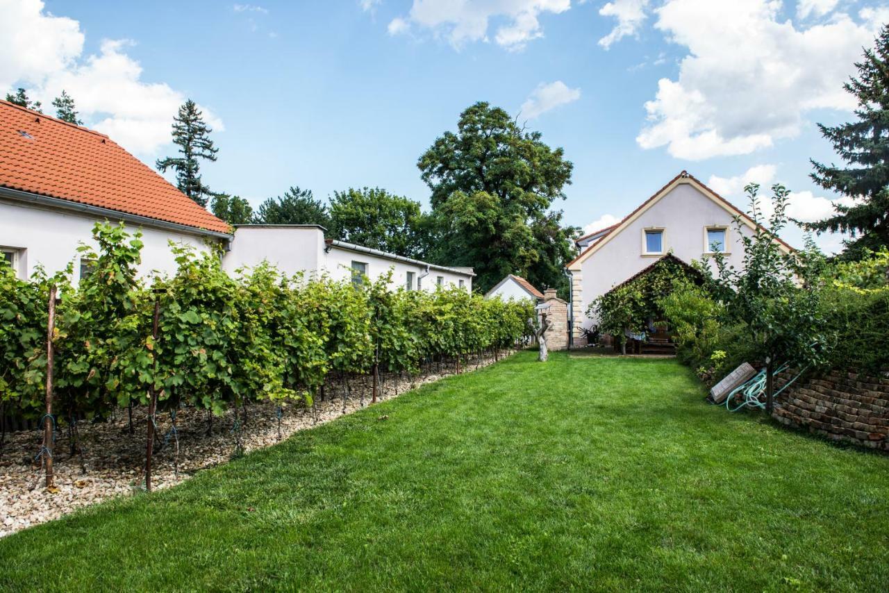 Penzion Monika Hrusovany nad Jevisovkou Exterior foto